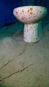 8.6M views · 74K reactions | You never know what you may find...