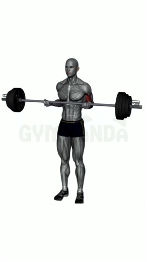 Barbell Bicep Curl - Perfect Form Guide #shorts