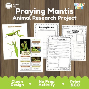 Praying Mantis Animal Research Project | Insect Science Report & Worksheets
