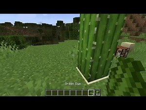 Minecraft How To Make Green Dye