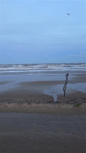 Bitterly cold down at Wallasey Beach Club for the annual New Year dip but that did not stop the brave souls that turned up to join in. Advice from the coastguard that due to the waves dipers should only go in waist deep was followed #wallaseybeach #newbrighton #dippers #newyearsday Part 3 | Sean Martin