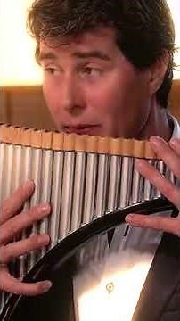 Unbelievable panpipe sound! Telemann in E♭Major - Combattimento #violin #baroque #classical #flute
