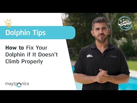 How to Fix Your Maytronics Dolphin Cleaner if It Doesn’t Climb Properly