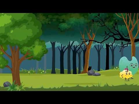 Relationships between Organisms with Examples