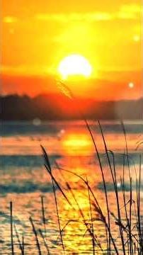 The Most Motivational Classical Music