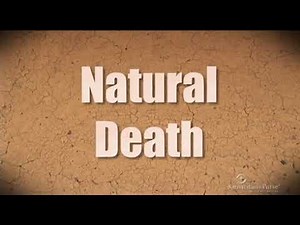 How the BioSand Water Filter Works