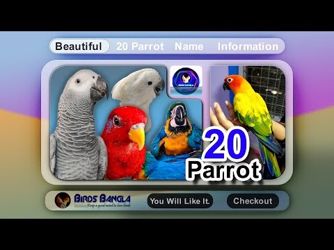 20 Beautiful Pet Birds Name & Facts | Exotic & Colorful Birds Information