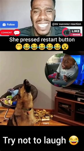 13K views · 444 reactions | Young girl clicks the restart button  #fyp #funny #funnymemes #reels | Mr succesz reaction | Facebook