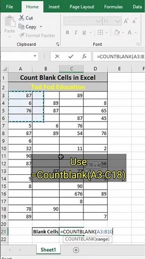 Count Blank Cells in Excel - Tips & Tricks from ‪@todfodeducation‬