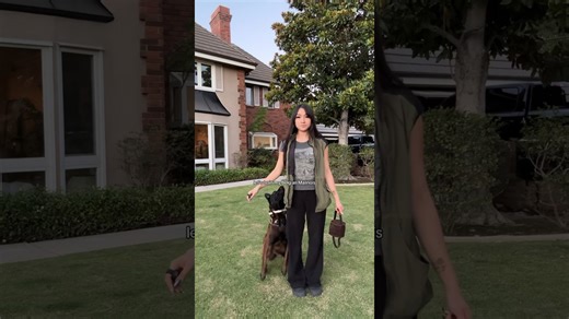 Watch Me Train My Belgian Malinois—It’s Impressive