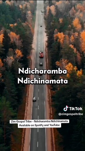 Ndicharamba ndichinamata nyangwe zvikaoma sei. #zimtiktokers🇿🇼🇿🇼🇿🇼 #zimgospel