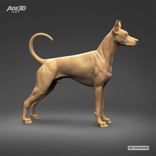 Doberman Pinscher Cropped Ears Natural Tail 3D Print Pose 01 | Resin 3D Print STL | dog breed Sculpt