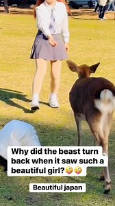 27K views · 231 reactions | Nara Park is a historic public park in...