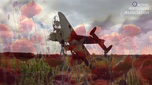 On Remembrance Sunday we remember and pay tribute to those who have selflessly served and sacrificed to protect our freedom. | RAF Association