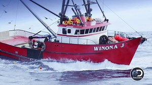 114K views · 309 reactions | Don't miss the season finale this Tuesday! | Deadliest Catch: Dungeon Cove | Facebook