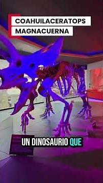 Desert Museum: Dinosaurs in Mexico 🦖✨ #travel #traveling #travelers #Coahuila #Mexico #Saltillo