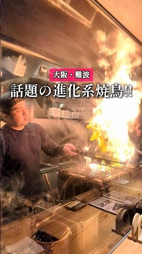 【大阪 難波】平日でも超満席 焼鳥の常識を覆す進化系焼鳥 【炭火焼鳥と一口餃子 TORA鶏YA 難波千日前店】
