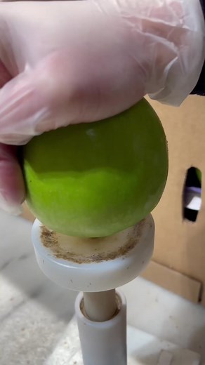 ASMR at Amy’s! Do you like it? 🍏❤️ | ASMR