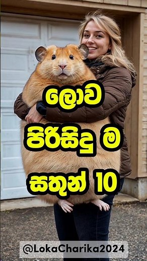 ලොව පිරිසිදු ම සතුන් 10 | Top 10 Cleanest Animals in the World