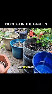 best soil amendment - Biochar #agrinihan | Agrinihan