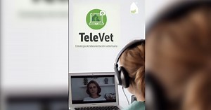 📹 TeleVet: plataforma de teleorientación gratis para dueños de perros y gatos