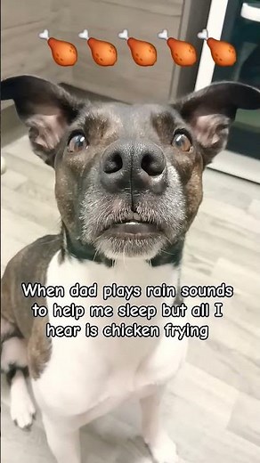 Ruby's adventures ❤️❤️❤️