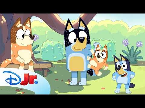 Bluey and Her Family Play Old MacDonald’s Farm! 🚜💙 | Bluey Minisode Old MacDonald | ‪@disneyjr‬