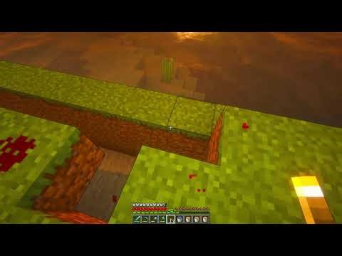 Minecraft - Java - Playthrough 9993 - Video 71
