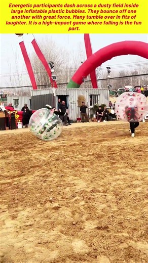 Hilarious Bumper Ball Match Features Inflatable Bubbles Colliding On A Dirt Arena