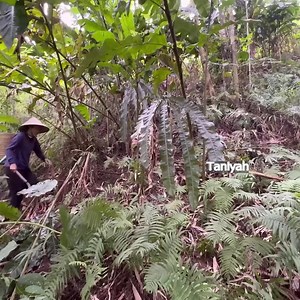 52K views · 1.5K reactions | The moment of love Uri has for his single mother after the terrible hardships in the wild forest | Taniyah Hancock | Facebook