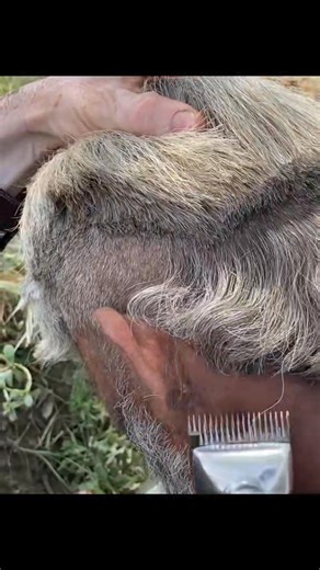 Hair style | Tar Barber Shop