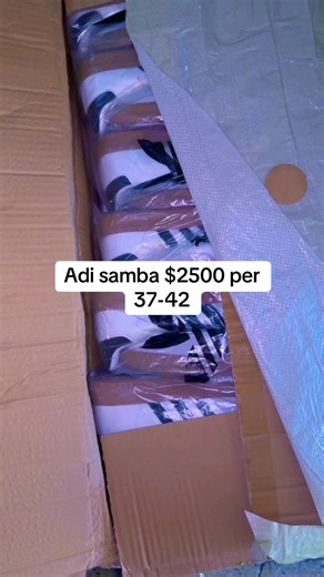 Adi Samba pups for sale $2,500 per puppy (sizes 37–42)