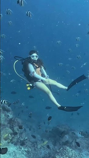 潛進夢境．馬爾地夫在溫柔的藍色懷抱裡 🇲🇻 馬爾地夫 船宿 8天7夜2026/04/19–26｜已確認開團 📩 名額有限，趕快私訊報名唷❤️❤️