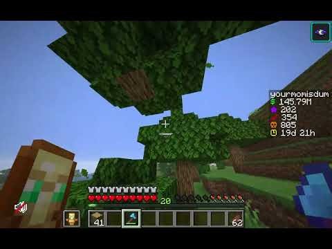 How to make money fast in donutsmp for new players