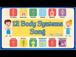 12 Body Systems Song for Kids! | Learn Body Systems | Fun Learning Song for Kids!