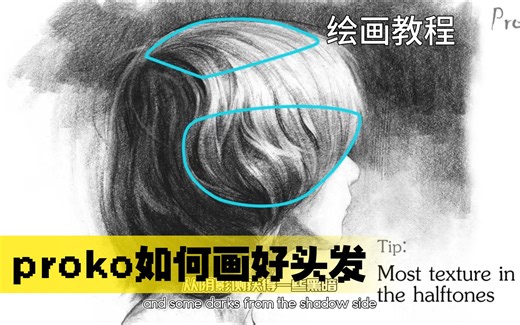 【绘画教程】proko如何画好头发丨中英丨不用嚼