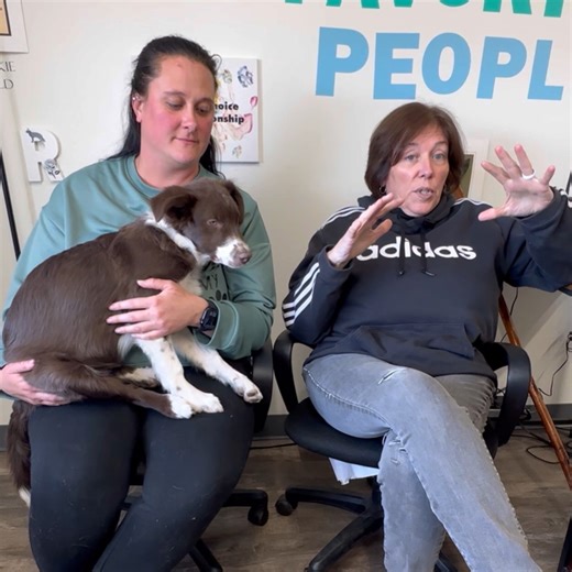 We’re excited to share an uplifting update on our Border Collies, rescued last fall from a dire hoarding situation. Here with us today is Pip, a true representative of the miracles that unfolded during that rescue. We are thrilled to report that every dog from that rescue has now found a loving home! Tune in as Theresa shares more details about this incredible journey of rescue and recovery. We would also like to extend our heartfelt thanks to our rescue partners: Midwest Border Collie Rescue, H