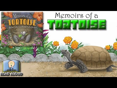 Read Aloud Book | Memoirs of a Tortoise | By Devin Scillian