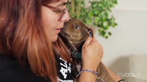 25 reactions | Have you considered fostering? There are several...