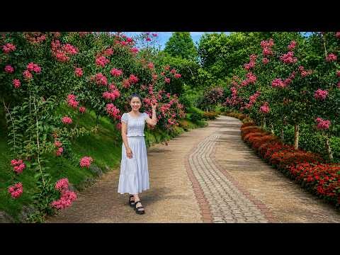 🌿 Creative Flower Garden Ideas 🌸 Colorful Beauty In Every Corner ✨