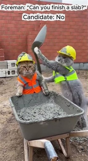 Daily Joke# How to become a Project Manager #funny