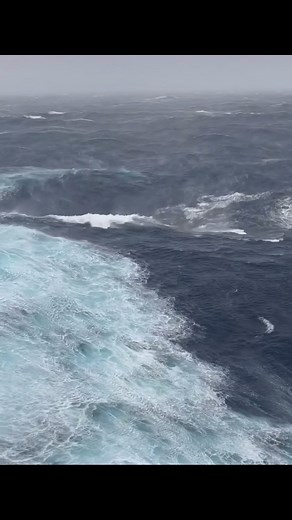 205K reactions · 4.9K shares | Hurricane season ️ | Anna Rose | Facebook