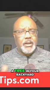 Discover why ownership is vital for true wealth creation. In this video, we explore how understanding ownership dynamics can empower your financial future and emphasize the importance of cultivating it like a growing tree. Don’t let your wealth slip away! #WealthBuilding #FinancialFreedom #OwnershipMatters #GrowYourWealth #Empowerment #FinancialLiteracy #InvestInYourself #LongTermVision #WealthMindset #OwnershipPower | Black Millionaires of Tomorrow