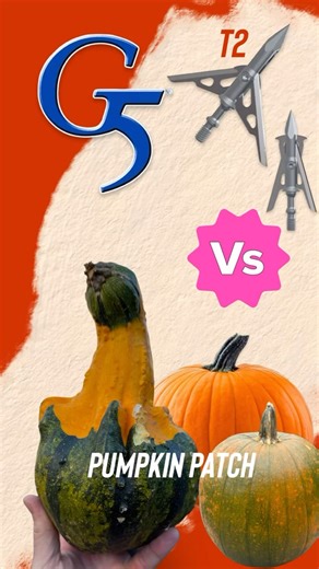 G5 T2 Broadheads vs pumpkin patch