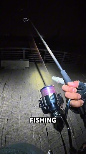 Why Expensive Fishing Reels Feel So Smooth 🤯