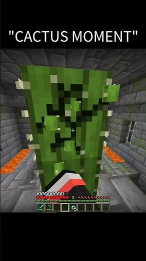 Minecraft Has the MOST AMAZING Cactus ?