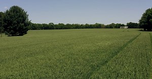 Video by Kelly     on Pexels