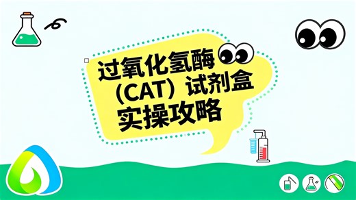 过氧化氢酶（CAT）试剂盒实操攻略丨亚科因生物