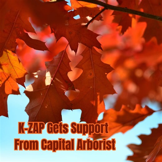 K-ZAP gets support from Capital Arborist 🌞 End of December Wrap-Up: Year-End Tree Health Check in Sacramento As Sacramento closes out December with rainy days, highs around 55°F, and lows dipping into the 40s (with occasional frost risks), it’s the perfect quiet moment for a year-end tree health inspection before the new year storms roll in. Spot issues now for easy fixes while trees are dormant! Why a Year-End Tree Check Matters Now 🌳 Easy Visibility: Bare branches reveal hidden problems like