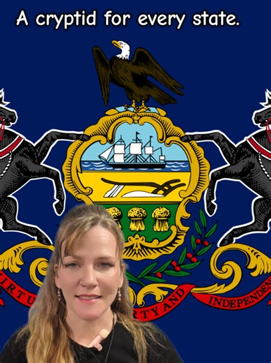 This is definitely one of my favorite cryptids. The squonk. The last drawing is credited to @🌕Beebz!!🌕 #pennsylvania #cryptid